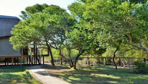 Hotel Garden Route Safari Camp