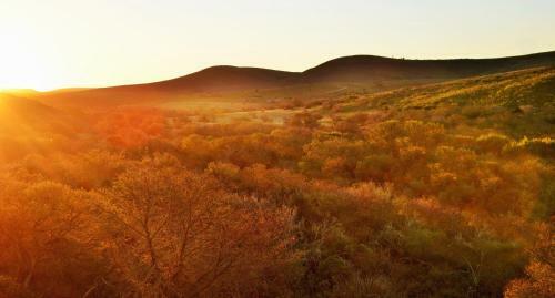 Hotel Garden Route Safari Camp
