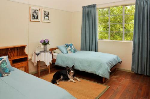 Agroturismo Assegai Rest
