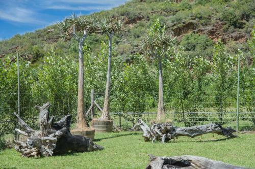 Agroturismo Assegai Rest