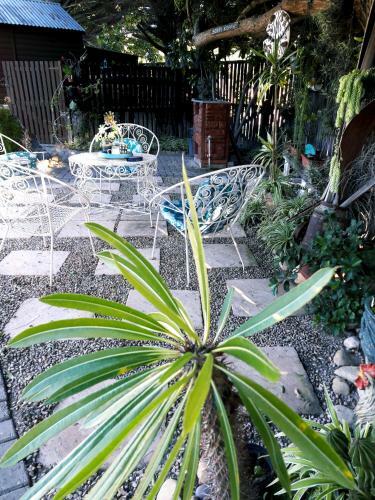 Forestview Guesthouse And B&B