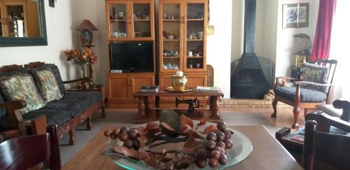Forestview Guesthouse And B&B