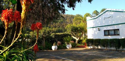 Forestview Guesthouse And B&B