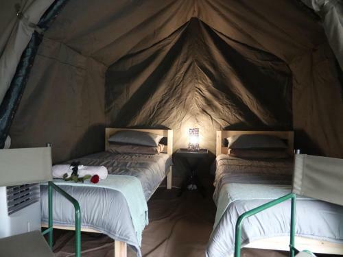 Kruger Park Tours Glamp