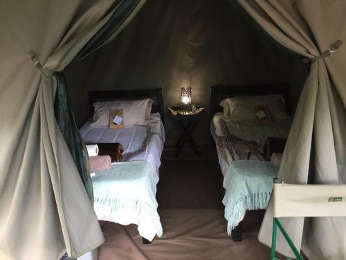 Kruger Park Tours Glamp