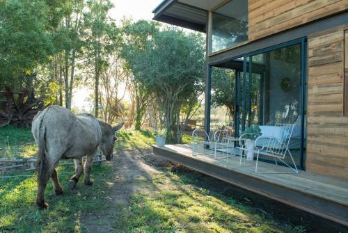 Bed & Breakfast Villa Villekula