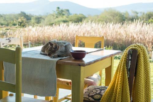 Bed & Breakfast Villa Villekula