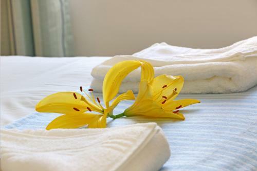 Apartamento Dolphins Rest Fish Hoek