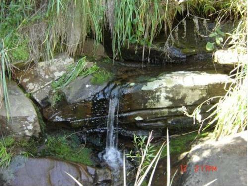 Apartamento Drakenzicht Mountain Cottage