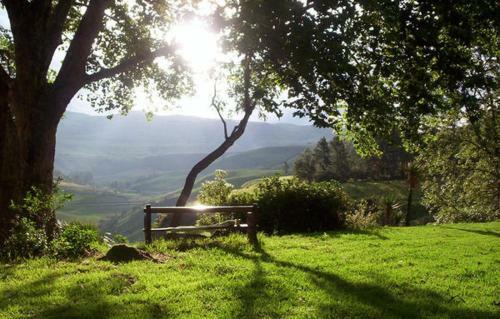 Apartamento Drakenzicht Mountain Cottage