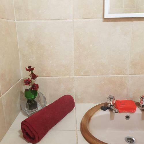 Hostal Jolani 2 Guest House