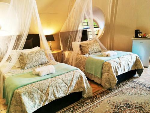 Hostal Safari Guesthouse