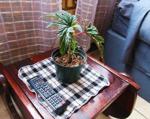 Apartamento Ds Accommodation