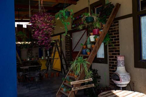 Albergue Inyameko Bnb