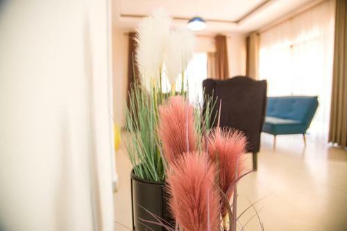 Mc Apartments
