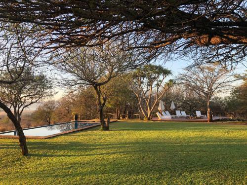 Africamps At White Elephant Safaris