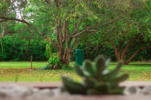 Pamushana Comfortable Home Away From Home