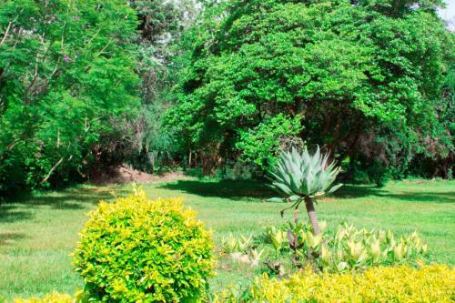 Pamushana Comfortable Home Away From Home