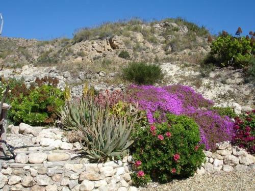 Bed & Breakfast Almond Reef Casa Rural