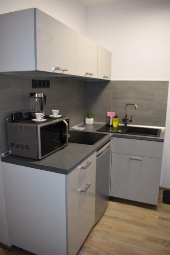 Apartamento Grand Harrachov Pension V Centru