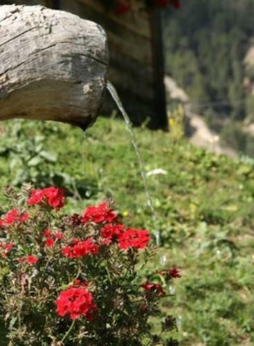 Le Sor� Hameau Des Chazals Nevache Hautes Alpes