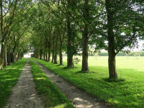 Holiday Home Des Aulnes - Ced209