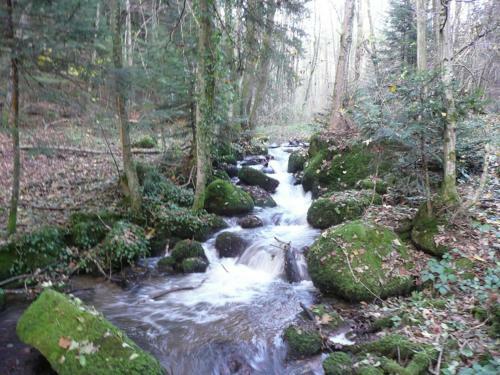 Comfortable Apartment In Rickenbach Near Forest