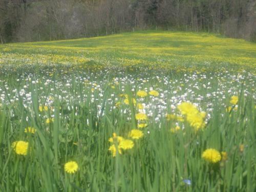 Agroturismo B&B Dagnano Basso