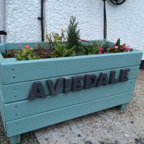 Hostal Aviedale Suite