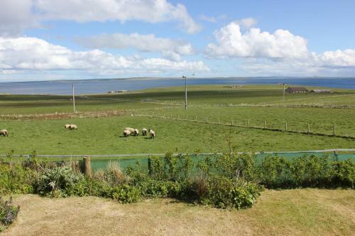 Hostal Aviedale Suite
