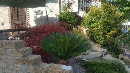 Agroturismo B&B La Corte Dei Samidagi