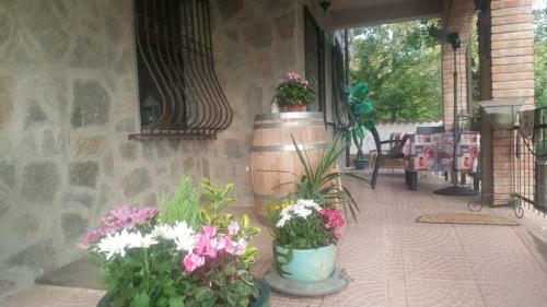 Agroturismo B&B La Corte Dei Samidagi