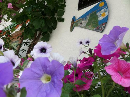 Hostal Affittacamere Pizzeria Marmolada