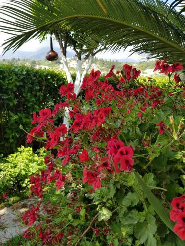 Villa Traditional Ioannis Cottage