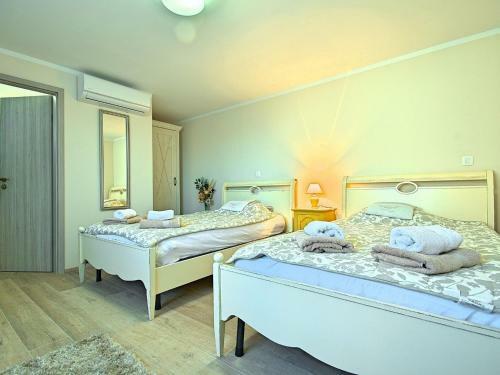 Luxurious Villa In Vizinada With Swimming Pool