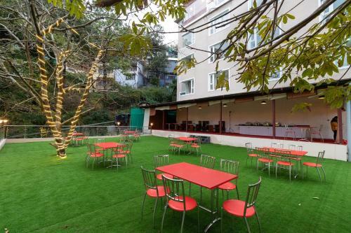 Hotel Wild Wood
