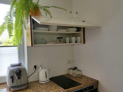 Apartamento Pod Modrzewiami