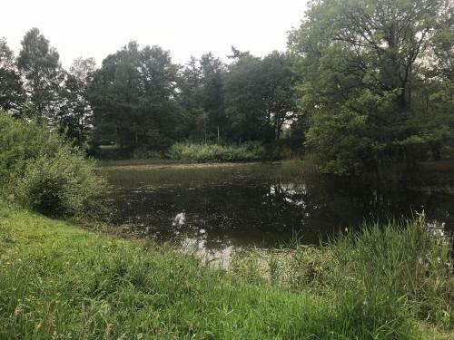 Bed & Breakfast De Olde Veld Hoeve