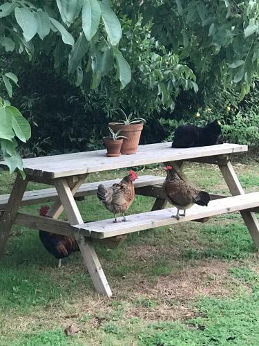 Bed & Breakfast De Olde Veld Hoeve