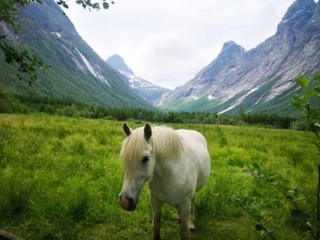 Trollstigen Camping And Gjesteg�rd