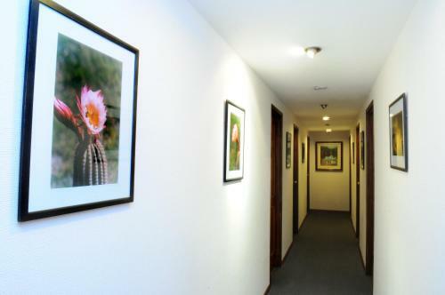 Hotel Marino