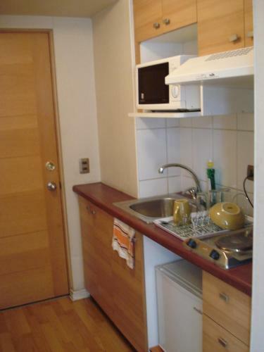 Santiago Downtown Apartments Moneda