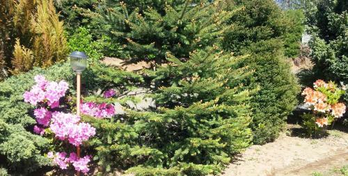 Lodge Complejo Tur�stico Terracrater