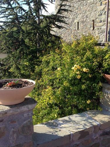 Apartamento Mini Appartamenti Nonna Nella