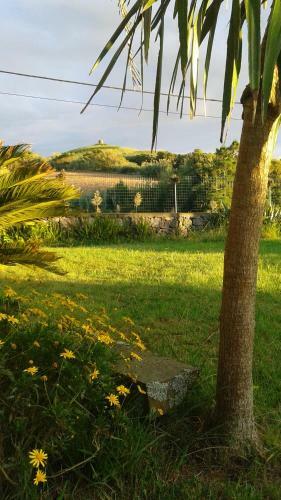 Albergue Novovento Coworking