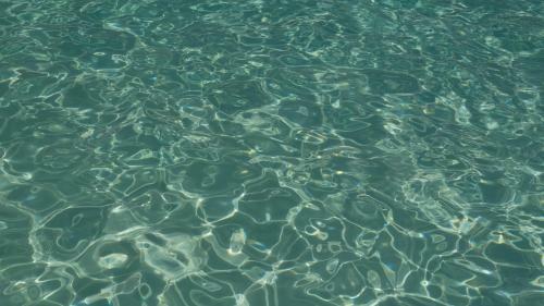Hotel Casa D�edite