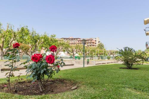 Apartamento Nero D'avola Morgante