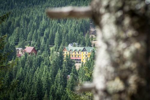 Lodge Haus Am Berg