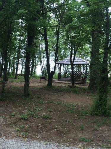 Hotel Green Wood