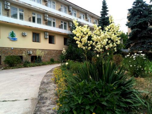 Hotel Sanatoriy Lesnaya Gavan